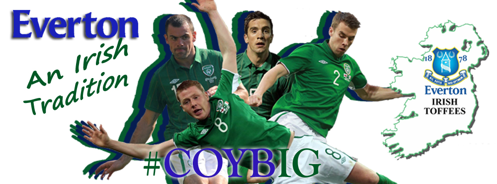 Ireland v Sweden McCarthy Coleman